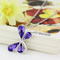 Dragonfly Femeile Crystal purpuriu de argint furnizarea de colier cu ridicata - Pagină 2