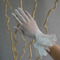 Ivory Scurt Translucent Hall Beading Mănuși de nuntă Finger Finger - Pagină 2