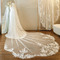 Voal de dantelă vintage alb fildeș voal de nuntă biserică voal de lux - Pagină 2