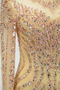 Rochie de seara Mătura Bijuterie Mâneci lungi Corsetul cu bijuterii - Pagină 10