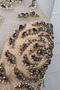 Rochie de seara Subţire Conservatie Fermoar Corsetul cu bijuterii - Pagină 5