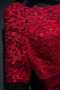 Rochie de domnişoară de onoare Tul Dantelă sus Luxos Vară Iluzia mâneci - Pagină 3
