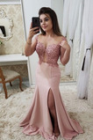 Rochie de bal Lung Fermoar Aplicatiile Vară Sirenă Mediu Afișează