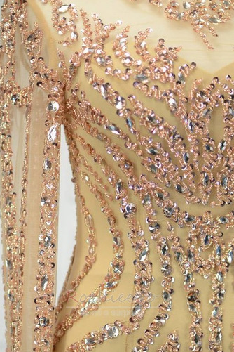 Rochie de seara Mătura Bijuterie Mâneci lungi Corsetul cu bijuterii - Pagină 10